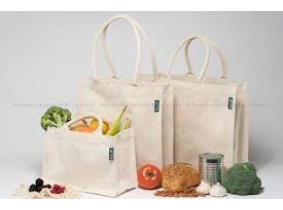 TÚI VẢI CANVAS 08